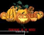 happy and the night of halloween alot of people cut faces in pumpkin and put the candle pumpkin