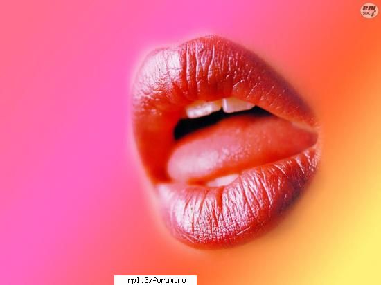 galerie wallpapers