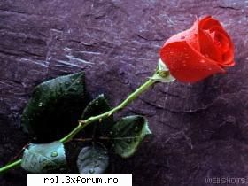 galerie wallpapers